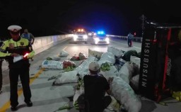 Kecelakaan di Tol Nganjuk, Pikap Bermuatan Sayuran Terguling