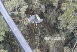 Pesawat Rimbun Air Jatuh di Papua, Tiga Kru Ditemukan Meninggal