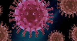 Varian Corona Inggris Ditemukan dari Bangkalan, Begini Saran Pakar Epidemiologi