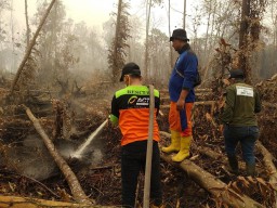 Aksi Cepat Tanggap Bantu Padamkan Api di Bengkalis, Riau