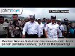 Video: Mimpi Banyuwangi Sebagai Produsen Bawang Putih