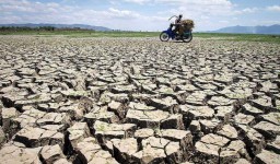 Bencana Kekeringan, ACT Salurkan Satu Juta Liter Air Bersih ke Jatim