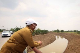 Gus Yani Minta Semua Pihak Mempersiapkan Strategi Mitigasi Bencana