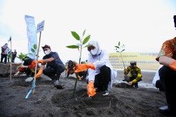 Pengembangan UMKM dan Wisata Pantai Cemara Menuju Banyuwangi Rebound