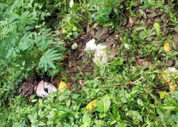 Sesosok Mayat Bayi Terbungkus Jarik Ditemukan di Jurang Pacet Mojokerto