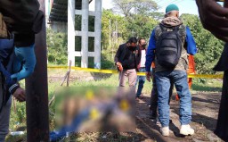 Mayat Mr X Ditemukan dengan Wajah Hancur di Kota Batu, Pembunuhan?
