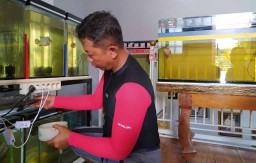 Cerita Polisi di Ponorogo, Berawal dari Hobi Kini Sukses Ternak Ikan Louhan
