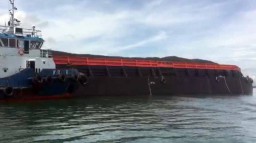 Batu Bara Tumpah ke Teluk Pangpang Banyuwangi Dikhawatirkan Rusak Ekosistem Laut