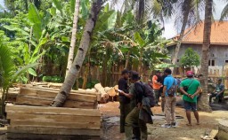 Petugas Gabungan KPH Banyuwangi Amankan 73 Kayu Gelondongan di Gudang Warga