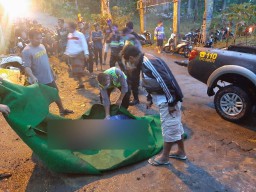 Pohon Tumbang Timpa Warung di Jolotundo Mojokerto, BPBD: 3 Orang Tewas
