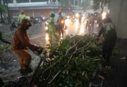 Pohon Tumbang dan Rumah Tergenang Air Akibat Hujan Angin di Surabaya