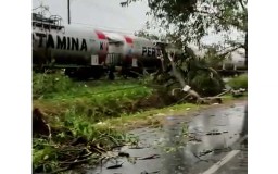 Pohon Tumbang Timpa Kereta Api di Pasuruan