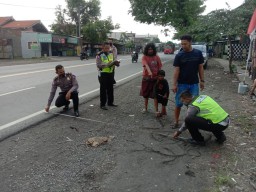 Pria di Pasuruan Tewas Disambar Mobil Saat Ikat Tiang Tenda Hajatan