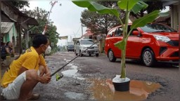 Warga Malang Tanam Pohon Pisang Wujud Protes Kondisi Jalan Berlubang