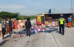 Truk Muat Buah Naga Terguling di Tol Gempas, Arus Lalu Lintas Sempat Tersendat