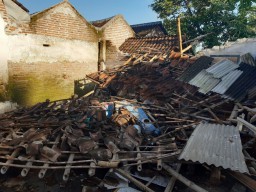 Gempa Jember, Empat Orang Dikabarkan Luka