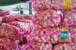 PPBN Berharap Presiden Bijaksana Soal Impor Bawang Putih