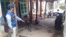 Kawanan Pencuri Mobil Pikap Beraksi di Kota Probolinggo