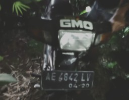 Pria di Ngawi Tertabrak Kereta Api, Terkait Pegawai Samsat yang Bersimbah Darah?