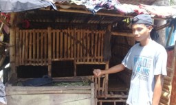Tega! Maling di Probolinggo Curi Tiga Ekor Kambing Milik Warga Penerima PKH