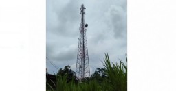 Tidak Setuju Putrinya Menikah, Pria Probolinggo Nekat Panjat Tower