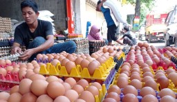 Harga Telur Tembus Rp 27.000 Per Kg, Ini Kata Dinas Pertanian Ponorogo