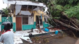 Pohon Beringin Berusia 40 Tahun Timpa Ruang Kelas di Pasuruan