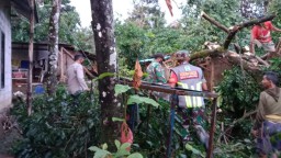 Hujan Angin Terjang Lereng Gunung Raung, Belasan Rumah di Banyuwangi Rusak