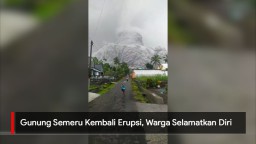 Video: Gunung Semeru Erupsi, Warga Selamatkan Diri