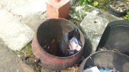 Ari-ari Misterius Gemparkan Warga di Prajurit Kulon Mojokerto, Ternyata...