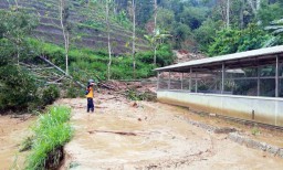 214 Bencana Terjadi di Ponorogo Sepanjang 2021, Longsor dan Banjir Mendominasi
