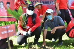 Bupati Gresik Bersama DPD PDI Perjuangan Tanam Pohon di Waduk Bunder