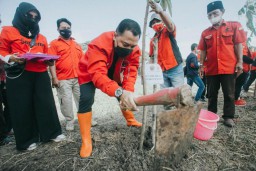 Tanam Pohon di Bantaran Sungai, PDI Perjuangan Surabaya Doakan Megawati