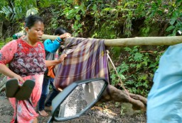 Banjir Bandang Terjang Desa Gunggungan Kidul Probolinggo, 1 Korban Tewas
