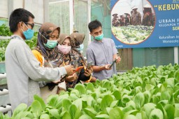 Mahasiswa Teknik Elektro UK Petra Ciptakan Aplikasi Urban Farming Berbasis IoT