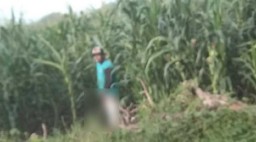 Pamer dan Gosok Anunya di Depan Umum, Pria di Magetan Diamankan Polisi