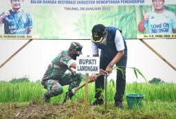 Pemkab Lamongan Tanam Bambu untuk Restorasi Ekosistem