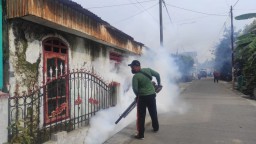 DBD Merebak di Mojokerto, Satu Anak Meninggal 7 Dirawat