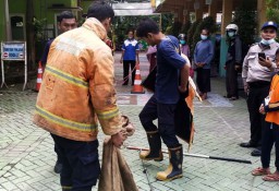 Dalam Lima Hari, Petugas Damkar Gresik Tangkap Tiga Ular Resahkan Warga