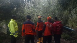 Diterjang Hujan Angin, Banjir hingga Pohon Tumbang Terjadi di Probolinggo