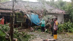 Rumah di Ponorogo Tertimpa Pohon Trembesi Tumbang, Warga Diimbau Waspada