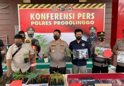 Polisi Grebek Pesta Ganja di Lereng Bromo, 10 Orang Diringkus