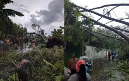 Puting Beliung Terjang 4 Kecamatan di Probolinggo, Begini Dampaknya
