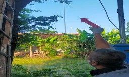 Pilihan Pembaca: Pria Gantung Diri di Pohon Asem hingga Pengamen Hajar Tante