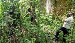 Warga Ponorogo Meninggal Usai Jatuh dari Pohon Setinggi 3 Meter