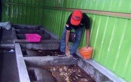 Melihat Budidaya Belatung Maggot di Mojokerto, Menjijikkan tapi Banyak Cuan