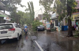 Kafe Rusak hingga Mobil Tertimpa Pohon Akibat Hujan Angin di Ponorogo