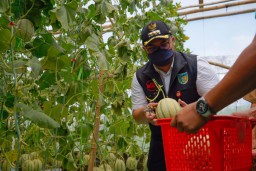 Dorong Milenial Gunakan Teknologi Pertanian, Ini Langkah Mas Dhito