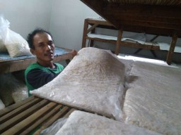 Harga Kedelai Naik, Perajin Tempe di Surabaya Mogok Produksi