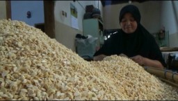 Harga Kedelai Masih Tinggi, Perajin Tempe di Kota Batu Kelimpungan